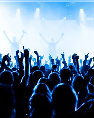 Disco, Always - A Harry Styles Dance Party