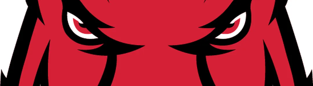 Arkansas Razorbacks