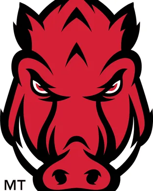 Arkansas Razorbacks vs. South Carolina Gamecocks