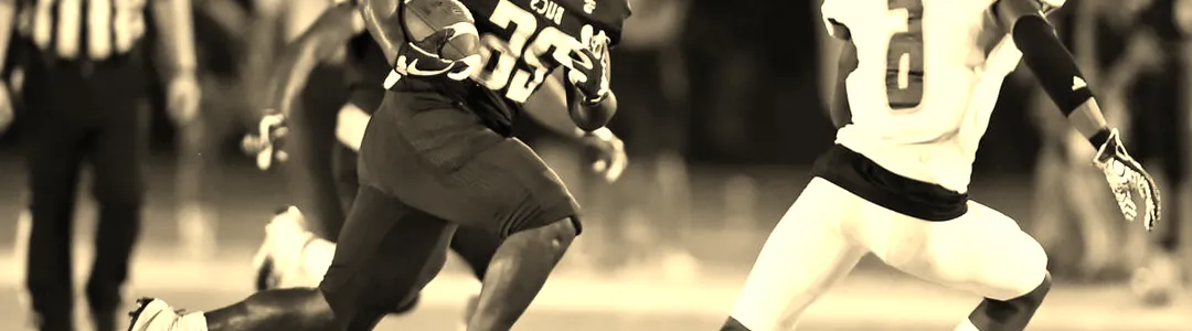 Charleston Southern Buccaneers