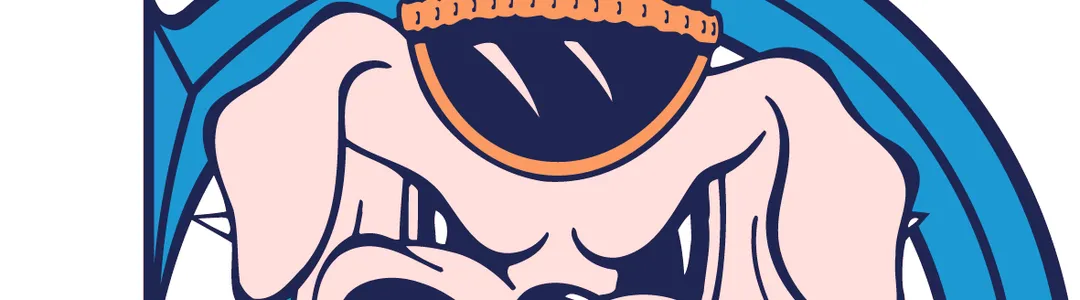 The Citadel Bulldogs