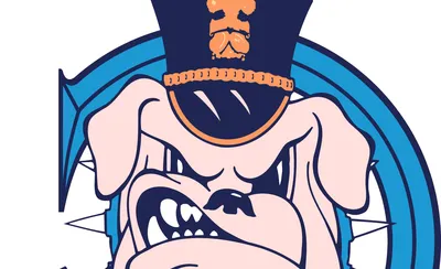 The Citadel Bulldogs