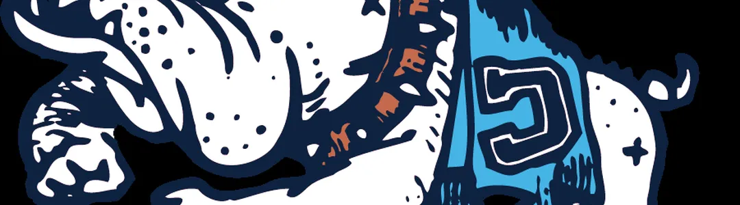 The Citadel Bulldogs