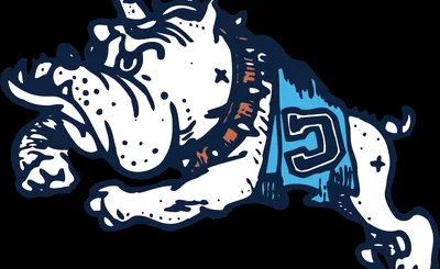 The Citadel Bulldogs