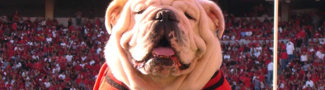 Georgia Bulldogs
