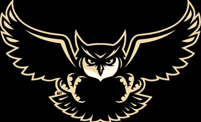 Kennesaw State Owls