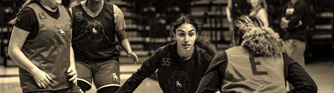 Samford Bulldogs Women's Basketball