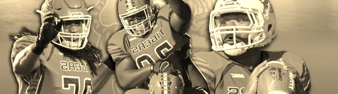 Savannah State Tigers