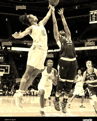 Tennessee State Lady Tigers Basketball