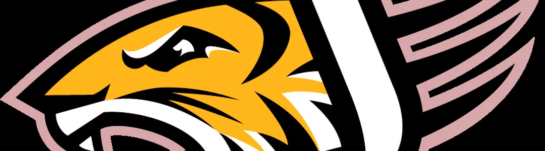 Towson Tigers