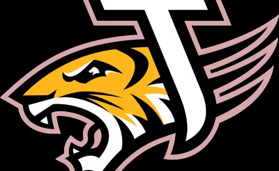 Towson Tigers