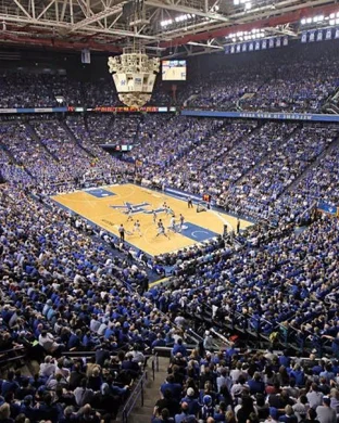 LSU Tigers Basketball