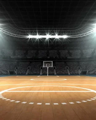 South Carolina Gamecocks Basketball