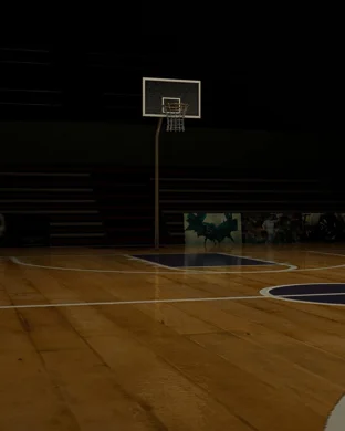 South Carolina Gamecocks Women's Basketball