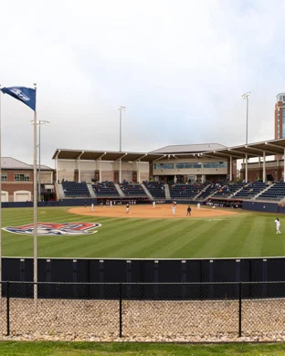South Carolina Gamecocks Softball